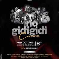 The No Gidigidi Concert