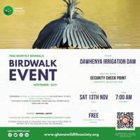 November Bird Walk 2021