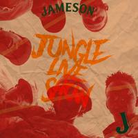 Jungle Live Show  curated by SuperJazzClub