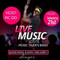 Live Music with Music Tiger's Band