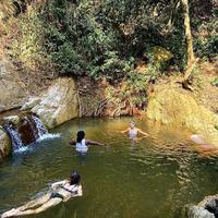 Aburi Gardens and Adom Waterfalls  Experience