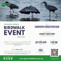 April Bird Walk 2022