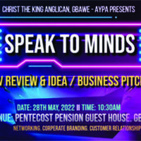 "SPEAK TO MINDS" CV Review and Idea/ Business Pitch