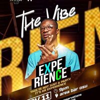 The Vibe Experience