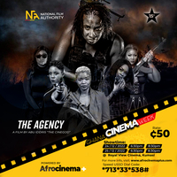 The Agency - Royal View Cinema, Kumasi