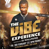 The Vibe Experience