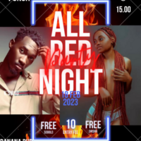 All Red Night Party