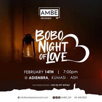 Bobo Night of Love
