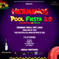 Hermanos Pool Fiesta 3.0