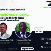 Growing your business - Strategies and how to access the one African Market