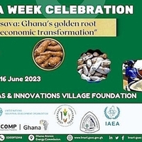 Cassava Celebration Week - Ghana's Golden Root for Economic Transformation