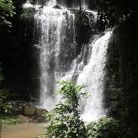 Discover 3 Waterfalls in the Eastern (Adom Oboadaka, and Asenema  falls)