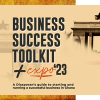 Diaspora to Ghana Business Success Toolkit + Expo | December in Ghana