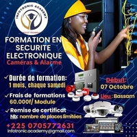 FORMATION EN SECURITE ELECTRONIQUE