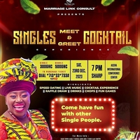 Singles Meet and Greet Cocktail Experience