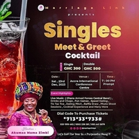 SINGLES MEET AND GREET  COCKTAIL