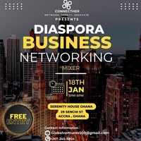 Diaspora Business Networking Mixer