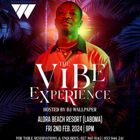 THE VIBE EXPERIENCE