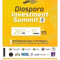 DIASPORA INVESTMENT SUMMIT' 2024