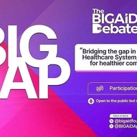 The BIGAiD Debate 1.0