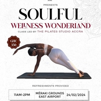 Soulful Wellness Wonderland