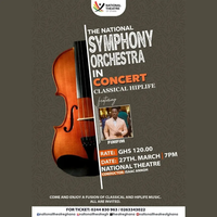 The National Symphony Orchestra In Concert