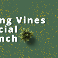 Living Vines Mental Health Foundation Launch Event